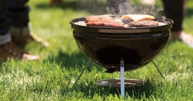 Weber Smokey Joe 14 Inch Portable Grill Mocha Review: Best Compact Grill? 1 Weber smokey joe